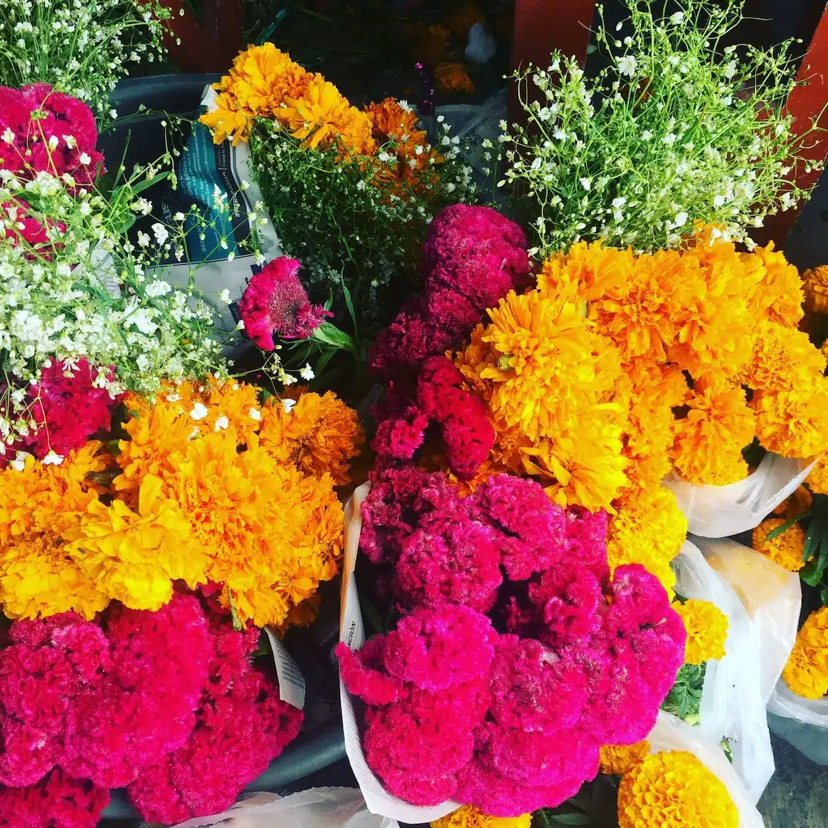 Día de Muertos