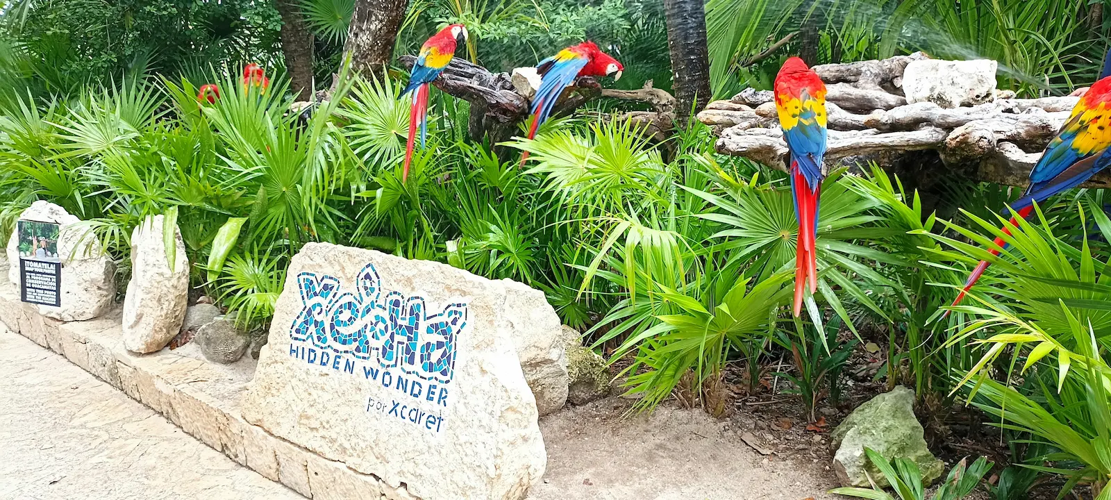 Xcaret, Xel-Há o Xplor: ¿cuál elegir?