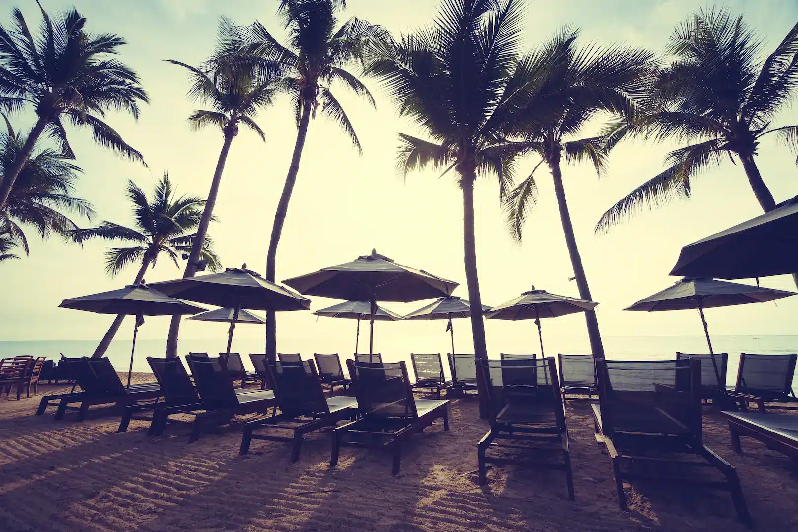 Beach club en Playa del Carmen