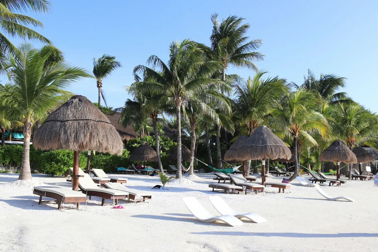 Isla Holbox tour