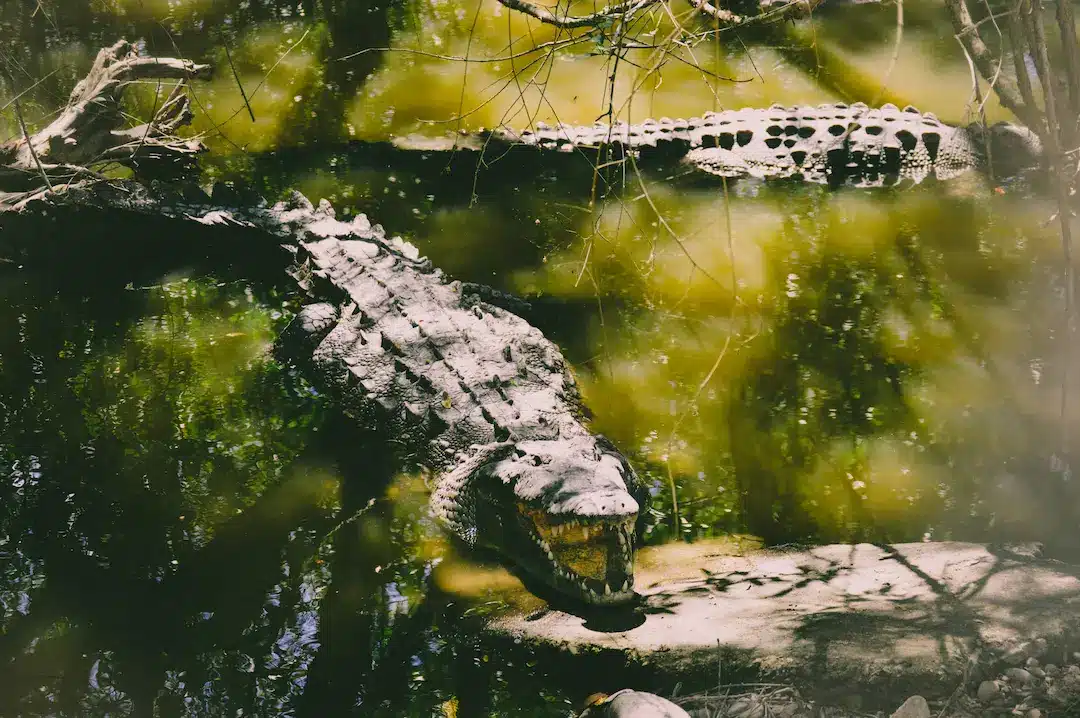 Laguna de Yucatán