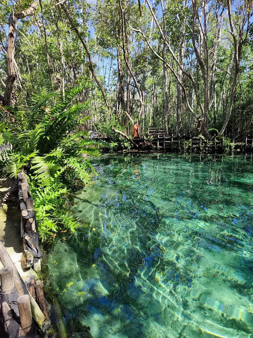 What to do in Playa del Carmen in December