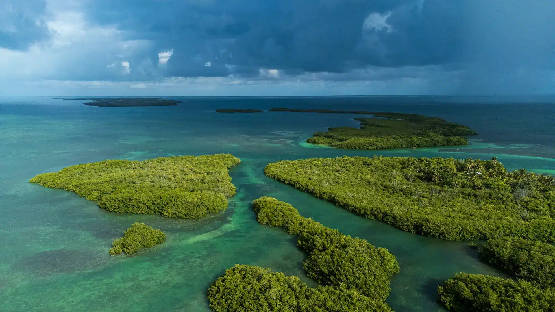 Manglar de Sian Ka'an