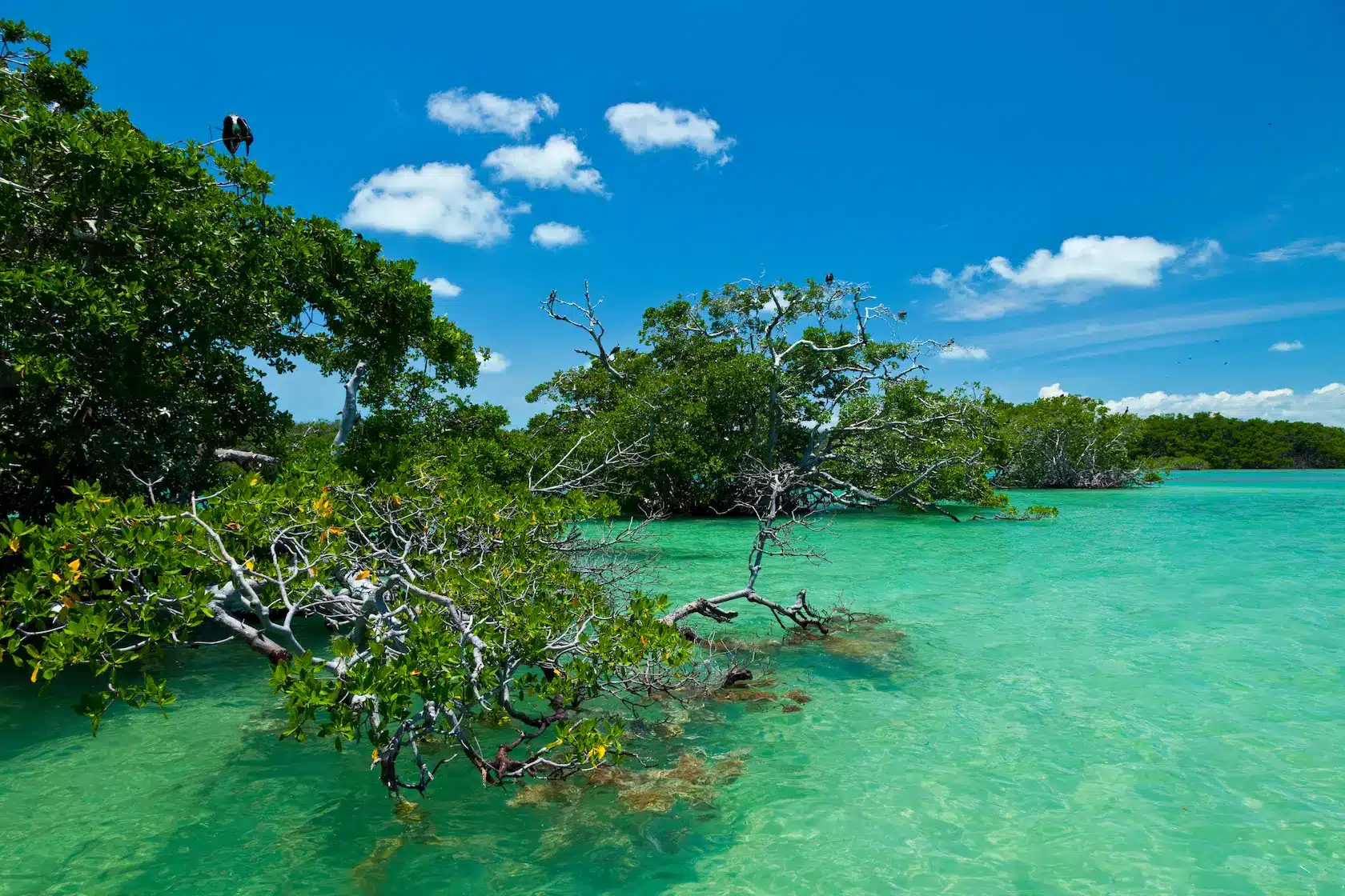 Barco en Sian Ka'an