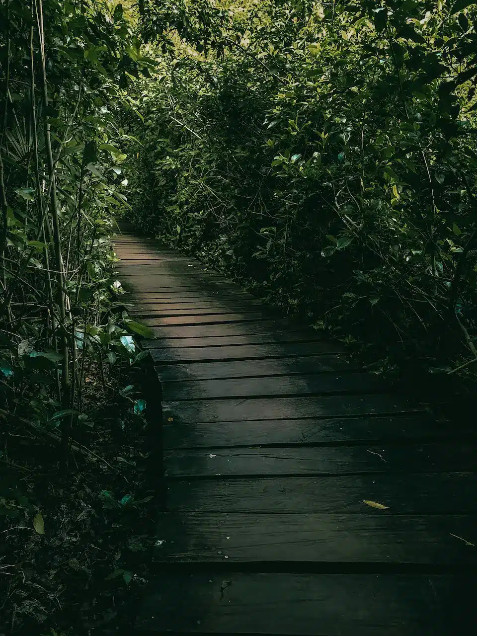 Sian Ka’an reserve