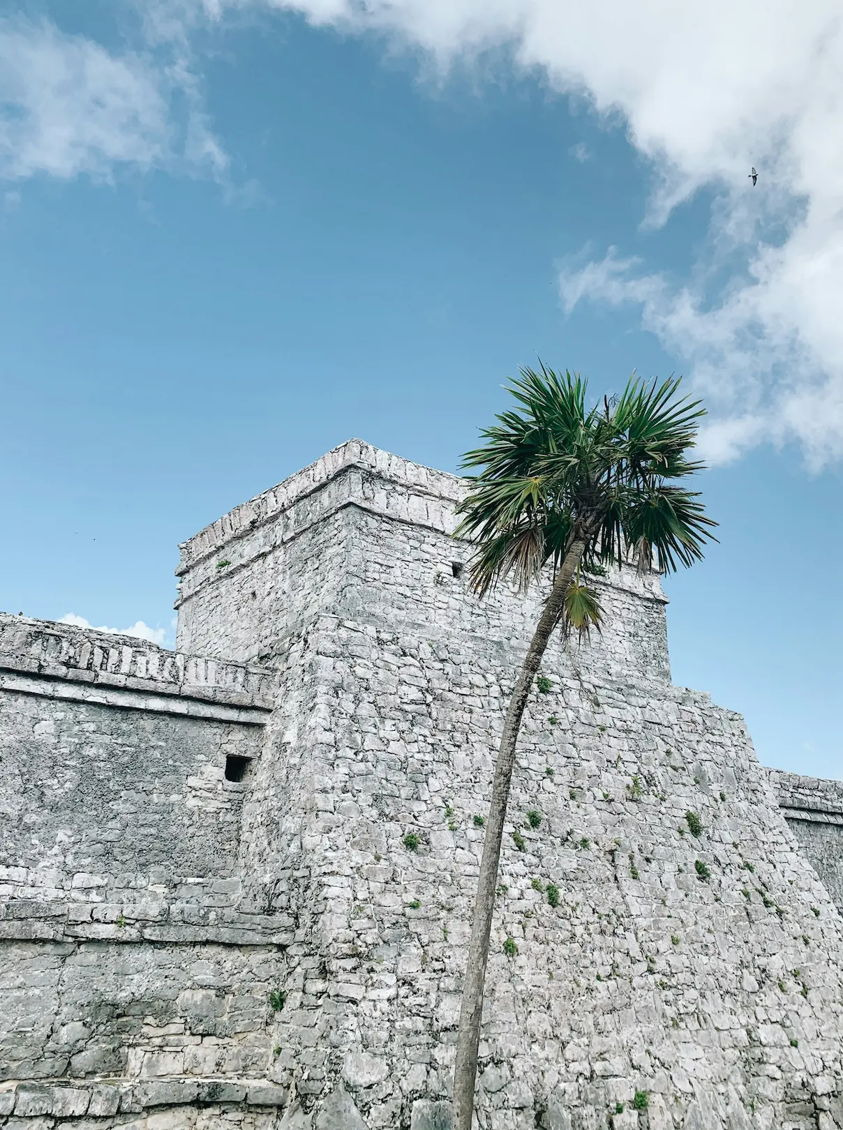 Tulum ruins facing the sea
