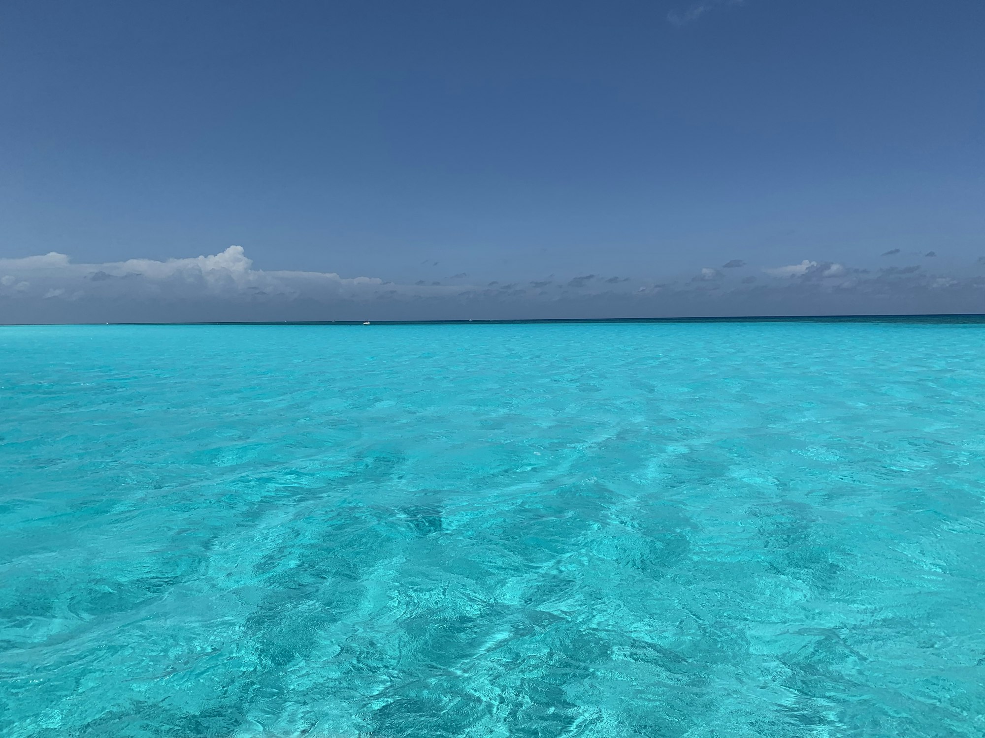 Eau turquoise et peu profonde d’El Cielo, Cozumel